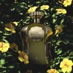 Afnan Highness X Eau de Parfum pour homme