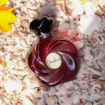 Gardenia U Eau de Parfum 75 ml