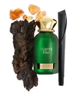 Ignite Oud U Eau de parfum 60 ml