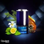 Opulent Sapphire Vaporisateur 100 ml