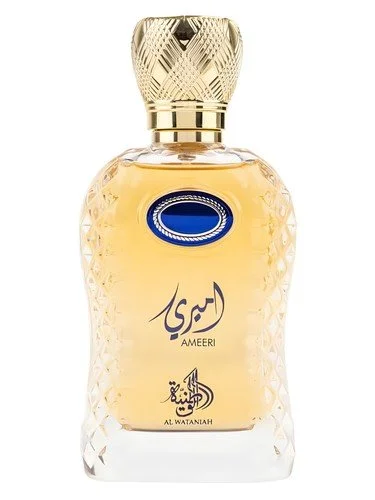Ameeri U Eau de Parfum 100 ml