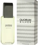 Quorum Silver eau de toilette 100 ml pour hommes