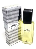 Quorum Silver eau de toilette 100 ml pour hommes