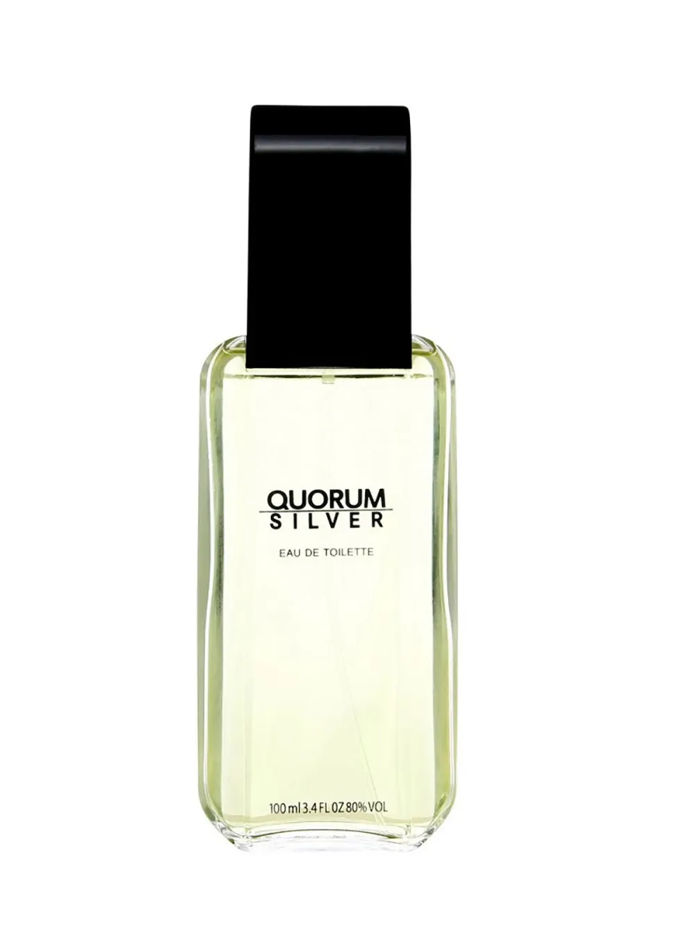 Quorum Silver eau de toilette 100 ml pour hommes