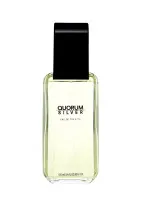 Quorum Silver eau de toilette 100 ml pour hommes