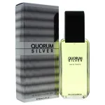 Quorum Silver eau de toilette 100 ml pour hommes