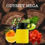 Odyssey Mega Édition Limitée M Eau de Parfum 100 ml
