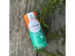Ben & Anna Déodorant solide sans parfum (40 g) - Aloé vera - pour peaux sensibles