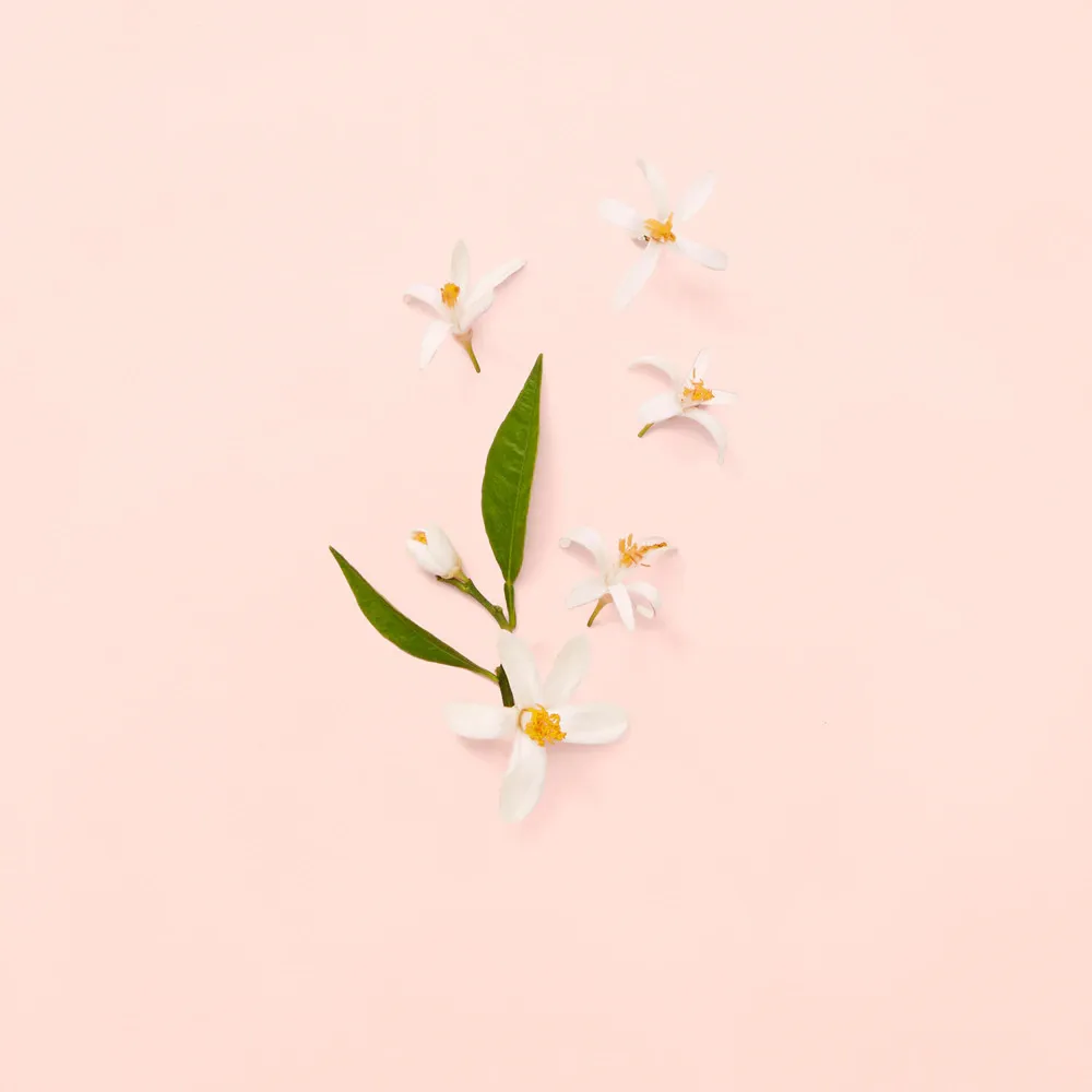 Bloom eau de toilette pour femme 100 ml