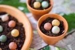 Blossombs Bombe à graines - Décoration cadeau « Meilleurs amis » - Oiseau (1 pièce)