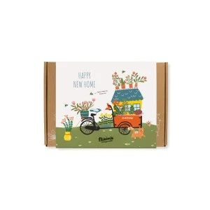 Blossombs Bombes à graines - Petit coffret cadeau - Bonne installation (7 pièces) - un cadeau original et pratique à la fois