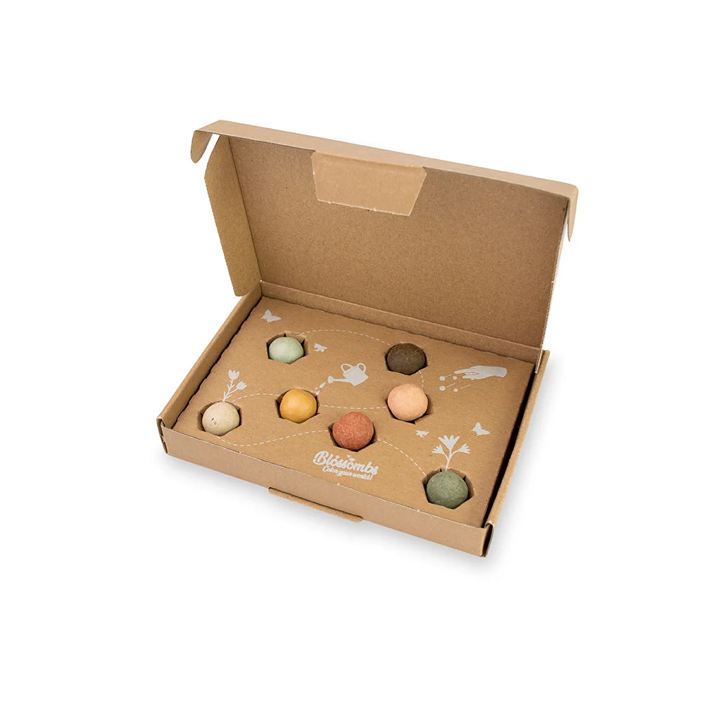 Blossombs Bombes à graines - Petit coffret cadeau - Bonne installation (7 pièces) - un cadeau original et pratique à la fois