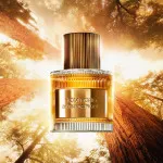 Bois Pacifique Eau de Parfum pour homme 100 ml