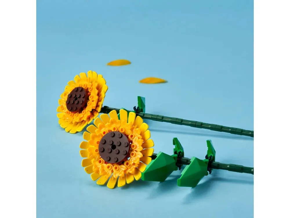 Botanicals 40524 Tournesol