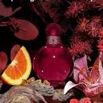 Eau de parfum Britney Spears Hidden Fantasy pour femmes 100 ml