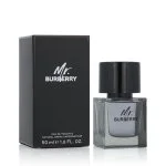 Mr. Burberry eau de toilette pour homme 50 ml