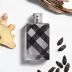 Brit For Men eau de toilette pour hommes 100 ml