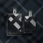 Brit For Men eau de toilette pour hommes 100 ml