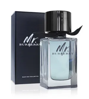 Burberry Mr. Burberry eau de toilette pour homme 100 ml
