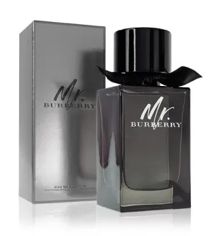 Burberry Mr. Burberry eau de parfum pour homme 100 ml