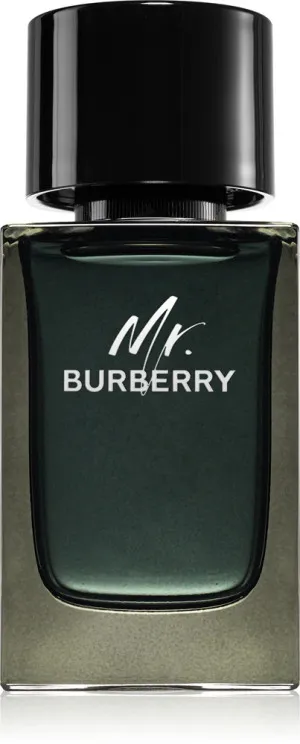 Burberry Mr. Burberry eau de parfum pour homme 100 ml