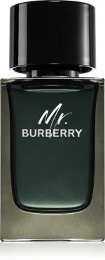 Mr. Burberry eau de parfum pour homme 100 ml
