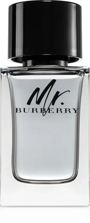 Burberry Mr. Burberry eau de toilette pour homme 100 ml