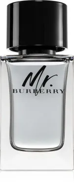 Mr. Burberry eau de toilette pour homme 100 ml