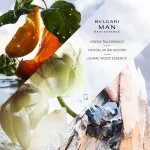 Man Rain Essence eau de parfum pour homme 60 ml