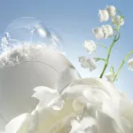 Noa eau de toilette pour femmes 50 ml