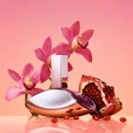 Euphoria eau de parfum pour femme 50 ml