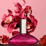 Euphoria eau de parfum pour femme 50 ml