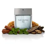 Eau de toilette Calvin Klein Truth For Men 100 ml pour hommes