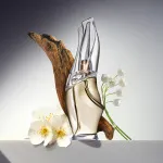 Cashmere Mist eau de toilette pour femme 100 ml