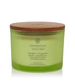 Bougie parfumée Chesapeake Bay Awaken + Invigorate à 3 mèches 312 g