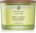 Bougie parfumée Chesapeake Bay Awaken + Invigorate à 3 mèches 312 g