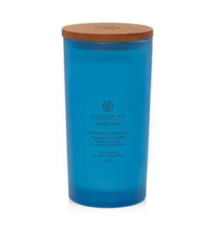 Bougie parfumée Chesapeake Bay Confidence + Freedom 355 g
