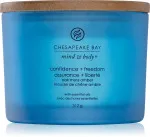 Bougie parfumée Chesapeake Bay Confidence + Freedom à 3 mèches 312 g