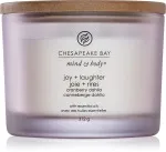 Bougie parfumée Chesapeake Bay Joy + Laughter avec 3 mèches 312 g