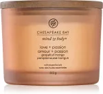 Bougie parfumée Chesapeake Bay Love + Passion avec 3 mèches 312 g