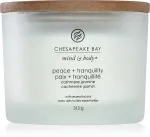 Bougie parfumée Chesapeake Bay Peace + Tranquility à 3 mèches 312 g