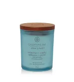 Bougie parfumée Chesapeake Bay Reflection + Clarity 96 g