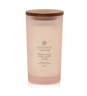 Bougie parfumée Chesapeake Bay Stillness + Purity 355 g