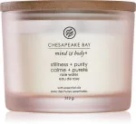 Bougie parfumée Chesapeake Bay Stillness + Purity à 3 mèches 312 g