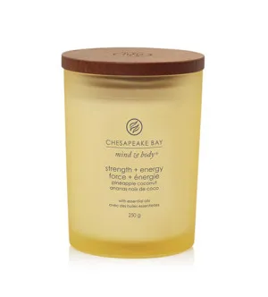 Bougie parfumée Chesapeake Bay Strength + Energy 250 g