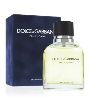 Dolce & Gabbana Pour Homme eau de toilette pour hommes 125 ml