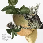 Eau d'Orange Verte eau de cologne unisexe 200 ml