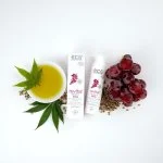 Eco Cosmetics Revital Sérum visage Vitamine C BIO (30 ml) - pour peaux exigeantes
