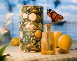 Memories of Summer Lueur D´espoir Eau de Parfum Unisexe 100 ml