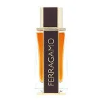 Spicy Leather eau de parfum pour homme 100 ml